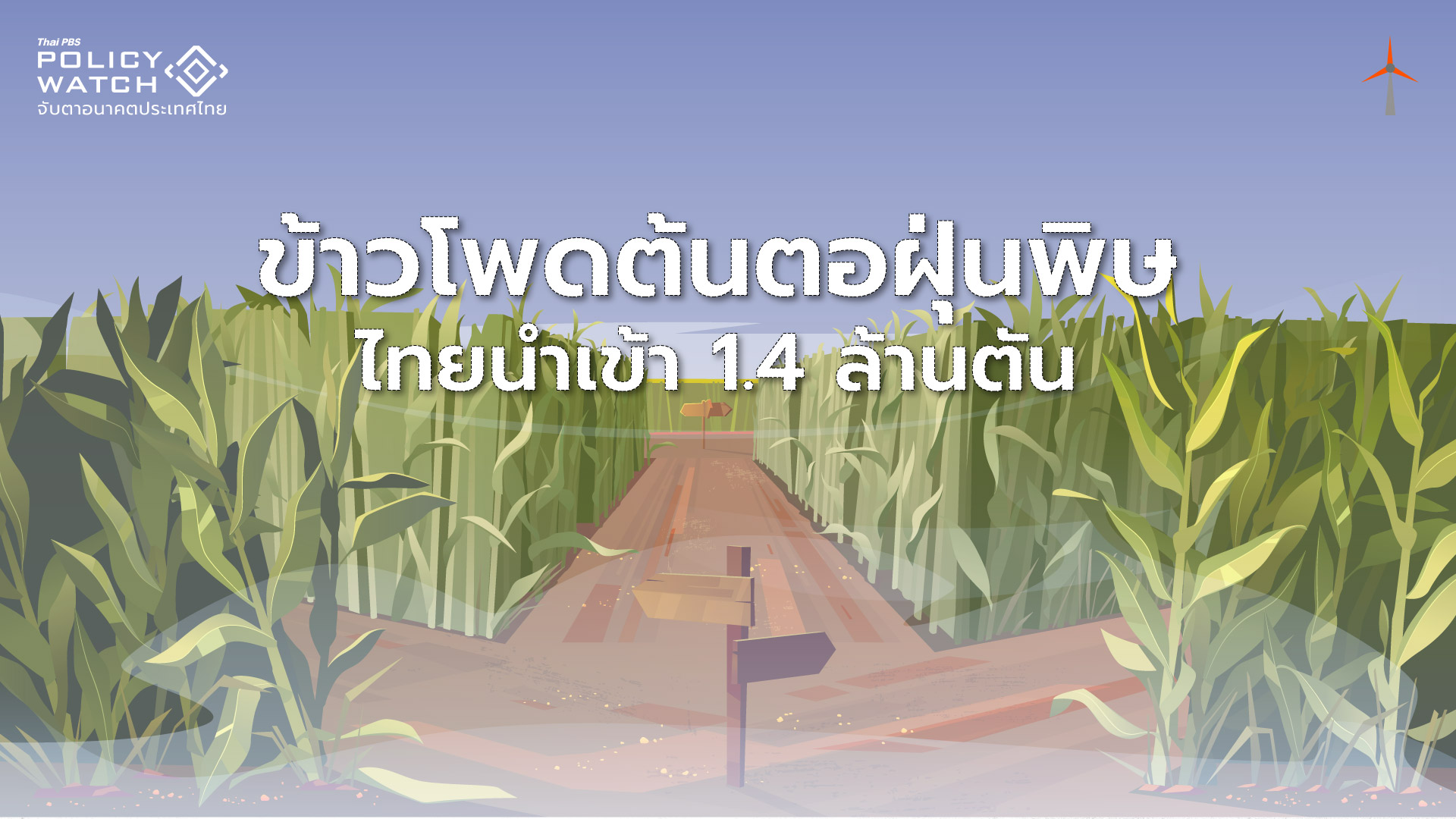 ไทยนำเข้าข้าวโพดเพื่อนบ้านเพิ่มขึ้น แม้เป็นตัวการเกิดฝุ่น PM 2.5