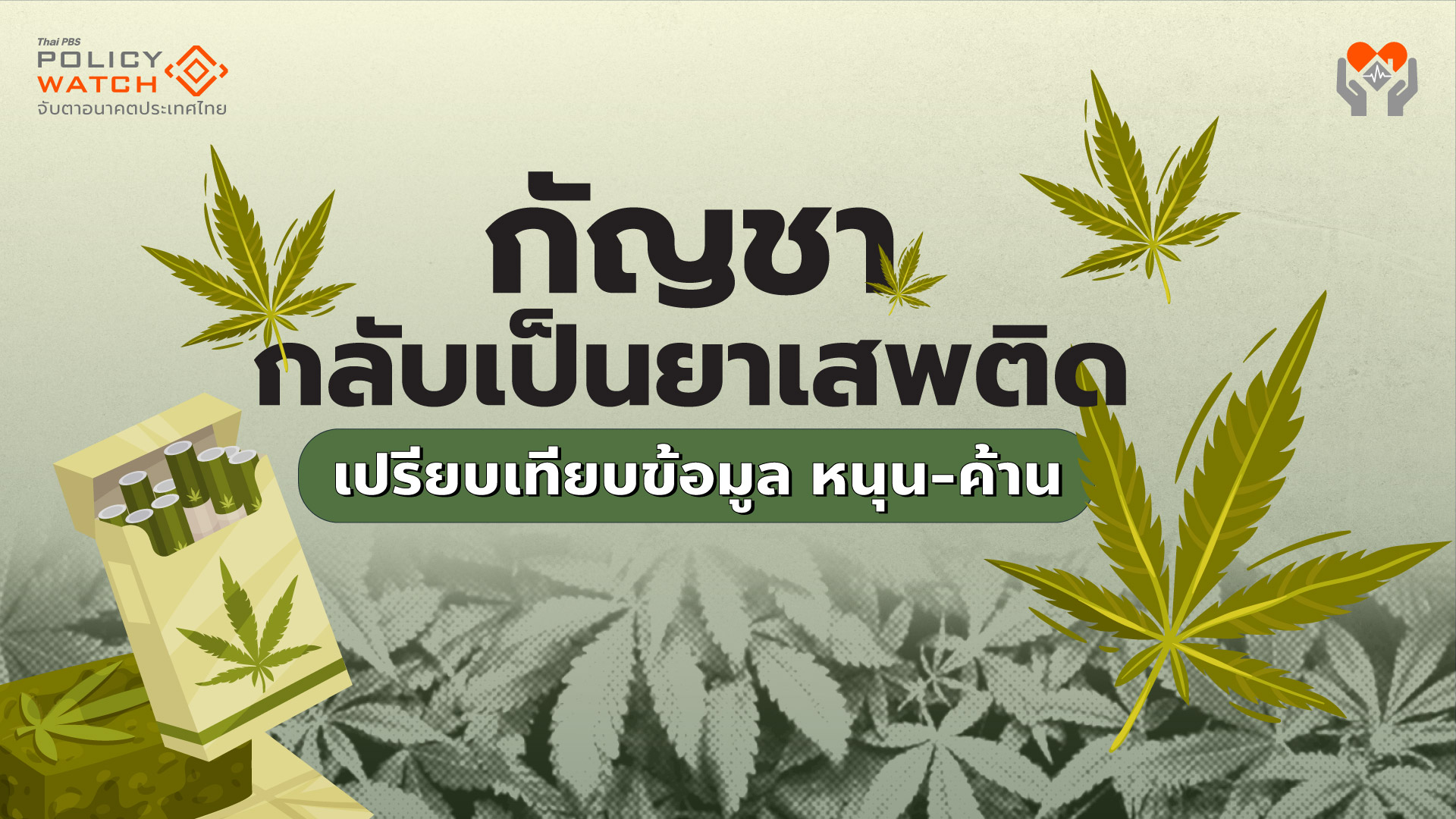 มองรอบด้าน ‘กัญชา’ กลับเป็นยาเสพติด