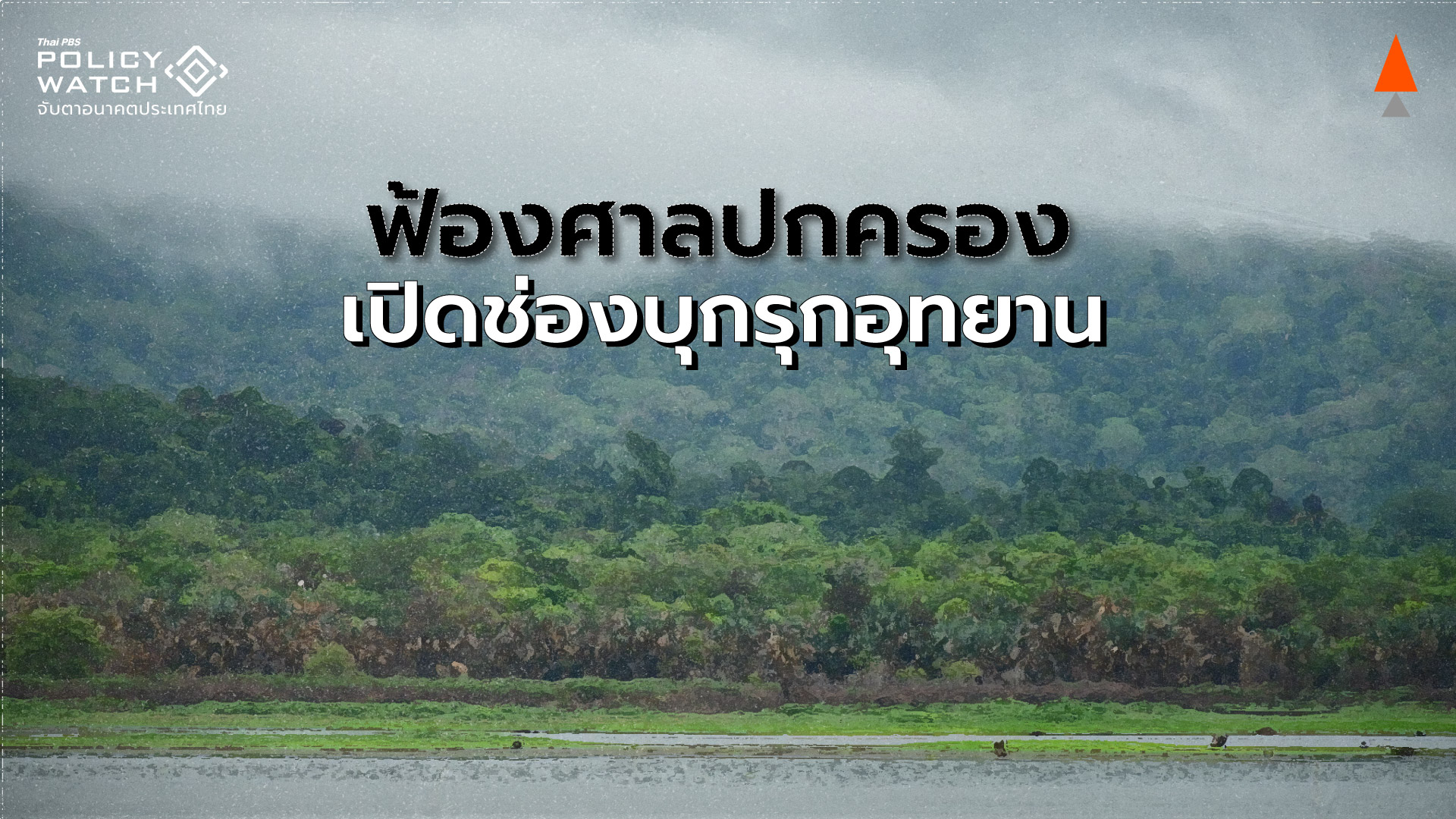 ฟ้องศาลปกครอง”คุ้มครอง” ช่องทางทุนบุกรุกพื้นที่ป่า