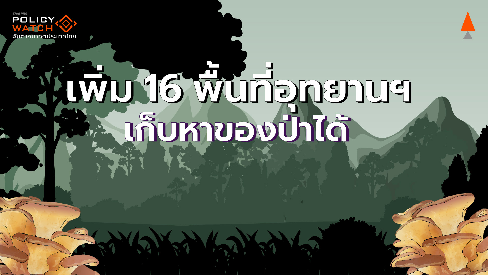 ทส.ประกาศเพิ่ม 16 อุทยานฯ ให้ชาวบ้านเก็บของป่า