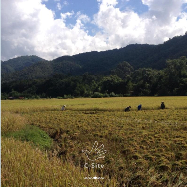 พัฒนาเกษตรกรสู่ความมั่นคงยั่งยืน