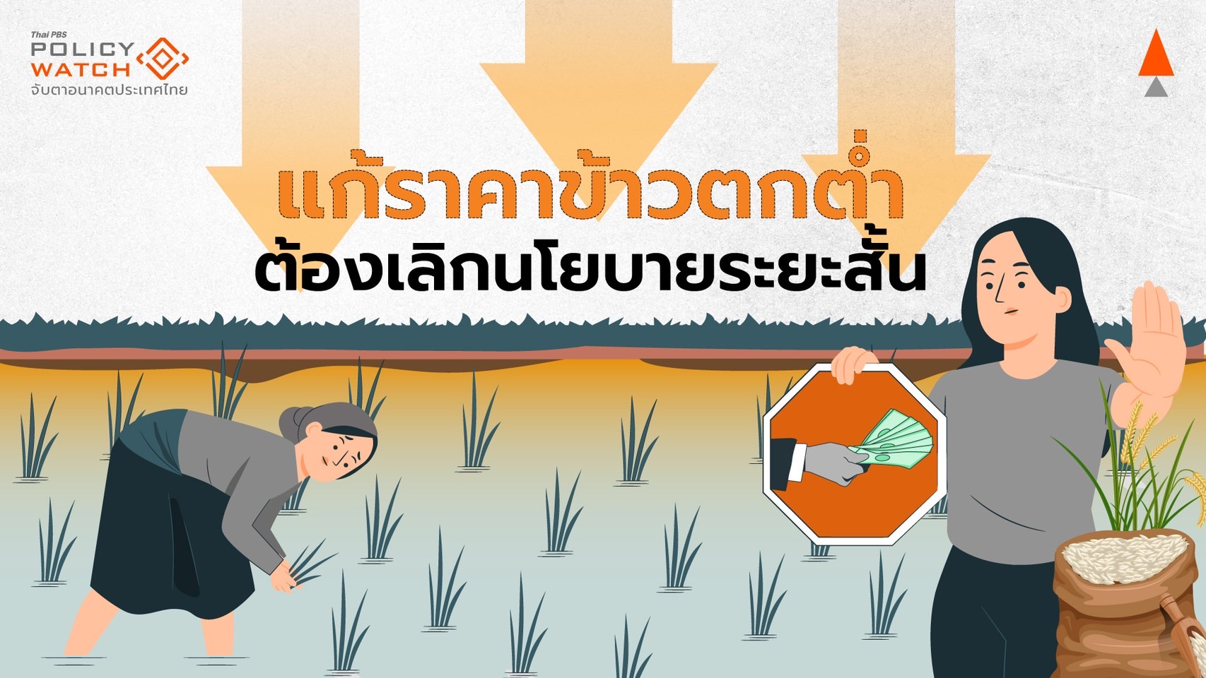 ชาวนาทุกข์ซ้ำซาก “ข้าวราคาตก“ ต้องแก้มากกว่าอัดฉีดเงิน