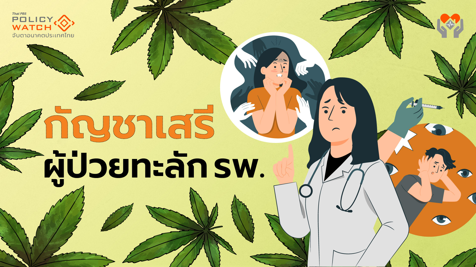 เปิดกัญชาเสรี เพิ่มผู้ป่วยมากกว่าประโยชน์