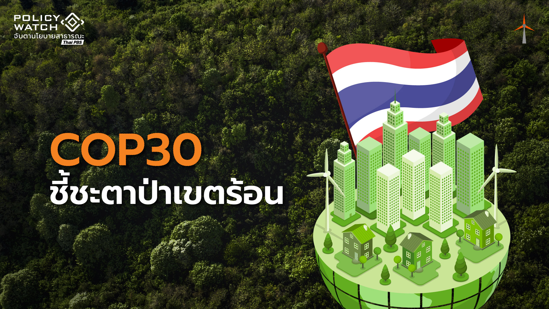 COP30 มุ่งปกป้องป่าเขตร้อน ตั้งกองทุน-หนุนคาร์บอนเครดิต