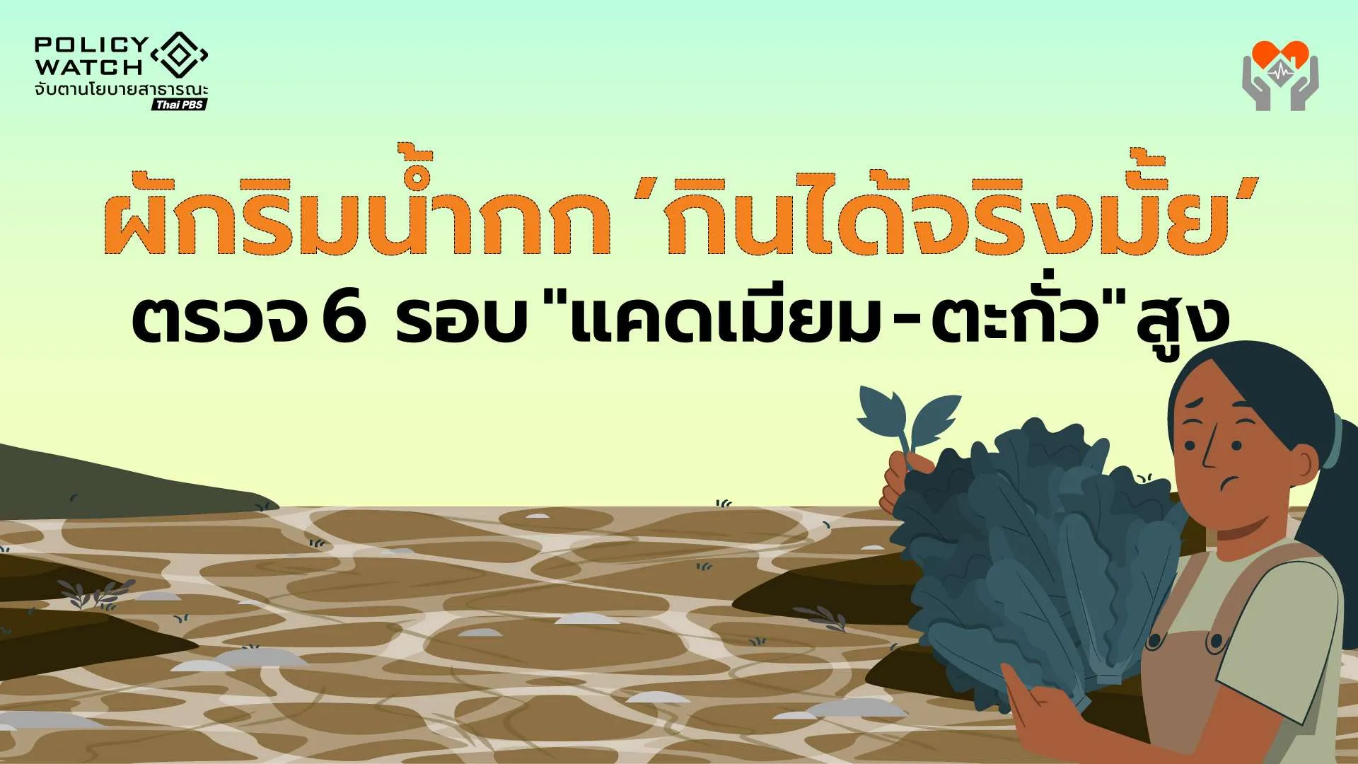 ผักริมน้ำกก กินได้จริงหรือ? จากผลตรวจสารพิษ 6 รอบ “ปนเปื้อน”