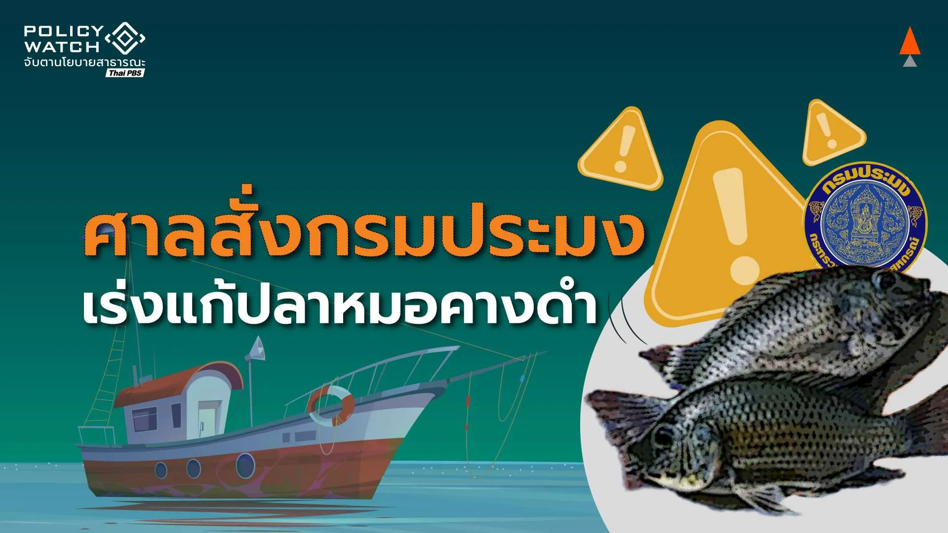ศาลปกครองกลางสั่งกรมประมง แก้ “ปลาหมอคางดำ” มหันตภัยระบบนิเวศ