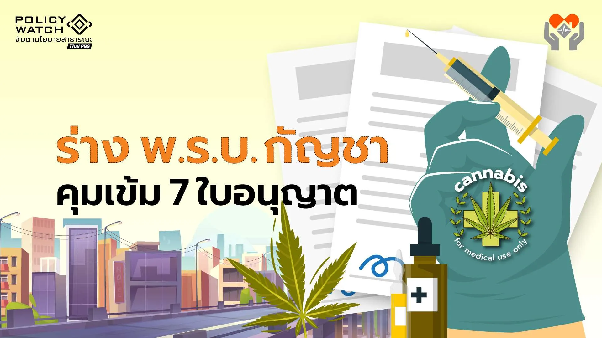 เปิดร่าง พ.ร.บ.กัญชา คุมเข้ม 7 ใบอนุญาต