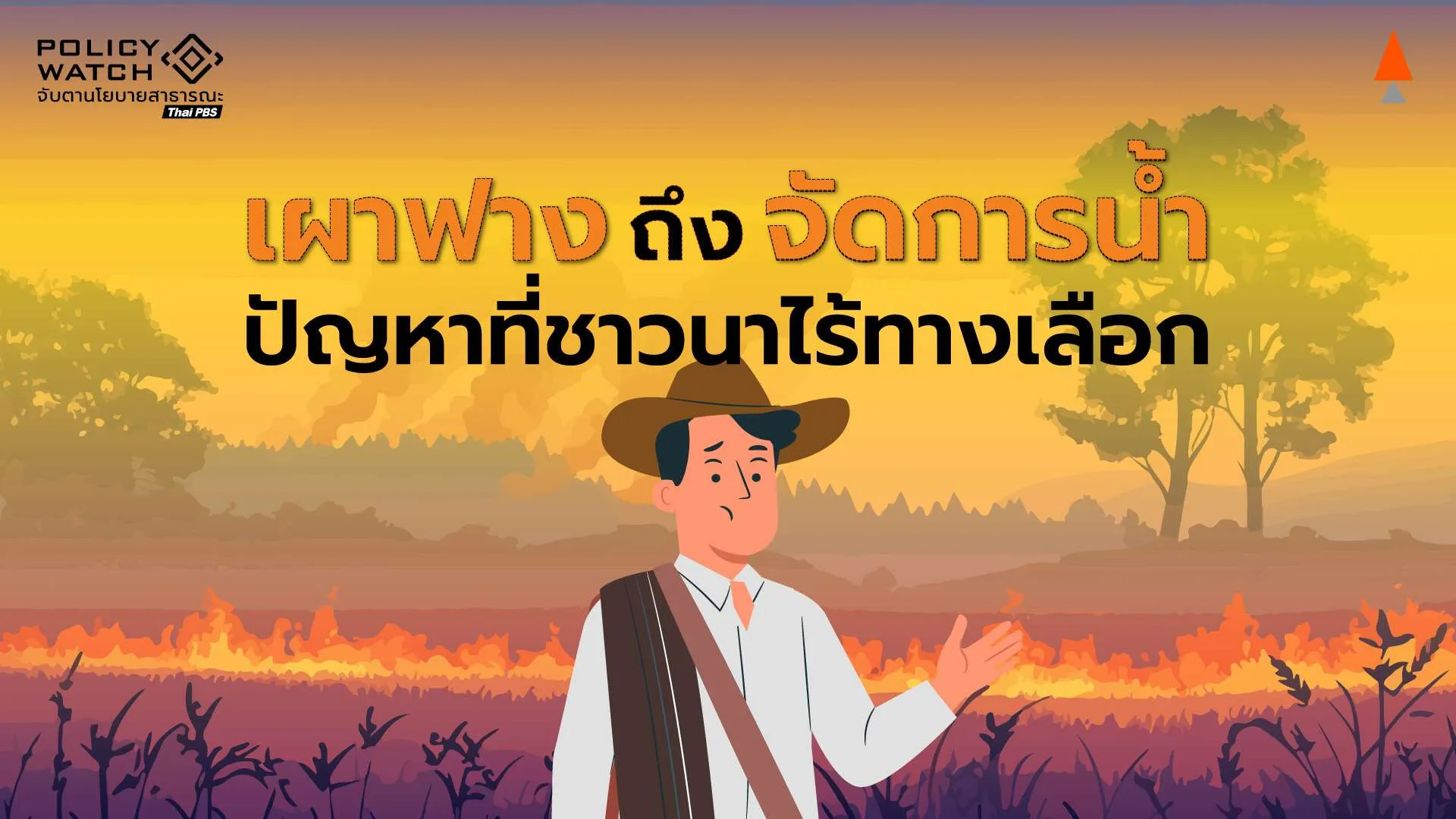 จาก “เผาฟาง” ถึง “จัดการน้ำ” รื้อโครงสร้างที่ชาวนาไม่มีทางเลือก